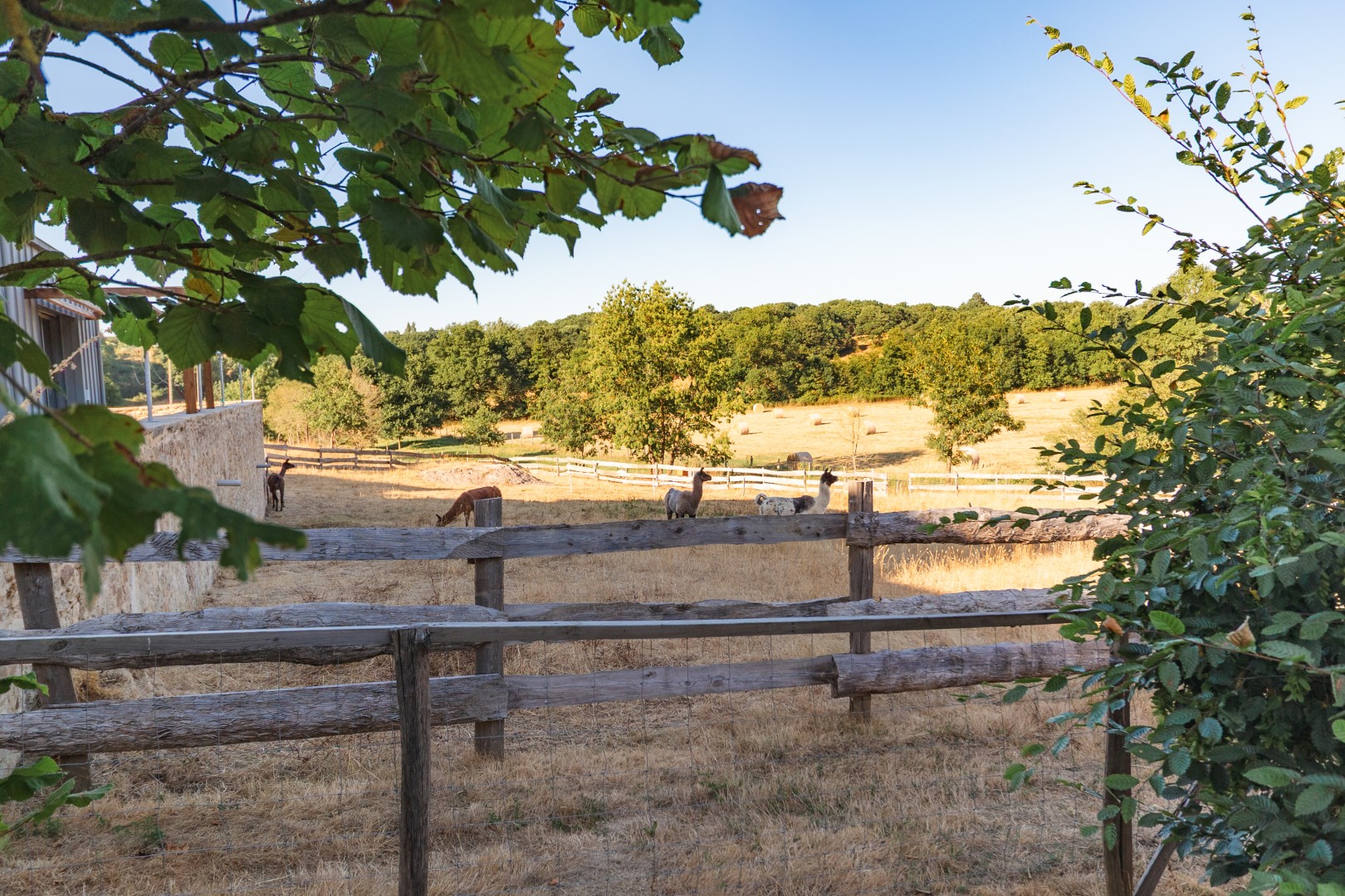 gîte rural